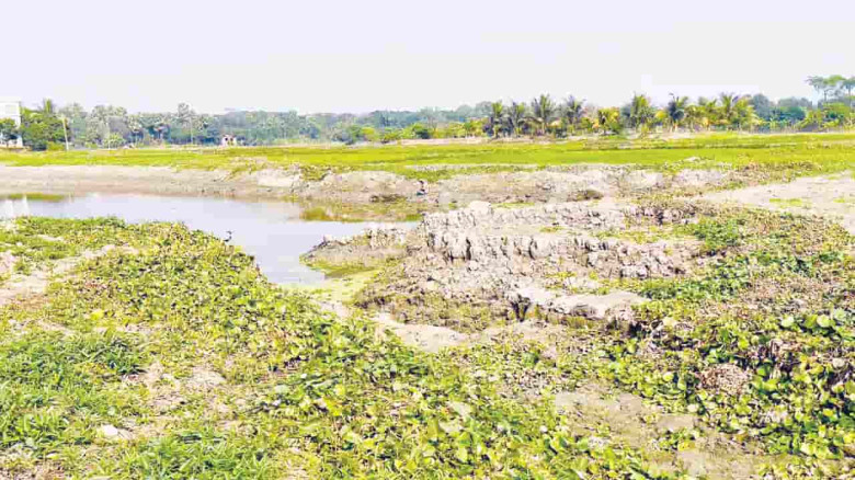 সোনারগাঁয়ে তিন ফসলি জমিকে পুকুর বানাচ্ছে মাটি সন্ত্রাসীরা