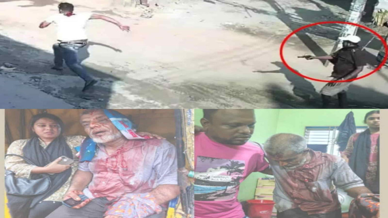 সন্ত্রাসী জাহিদ বাহিনীর তান্ডবে বাড়ছে আতঙ্ক